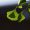 ginkgo-tree-1933941_1280